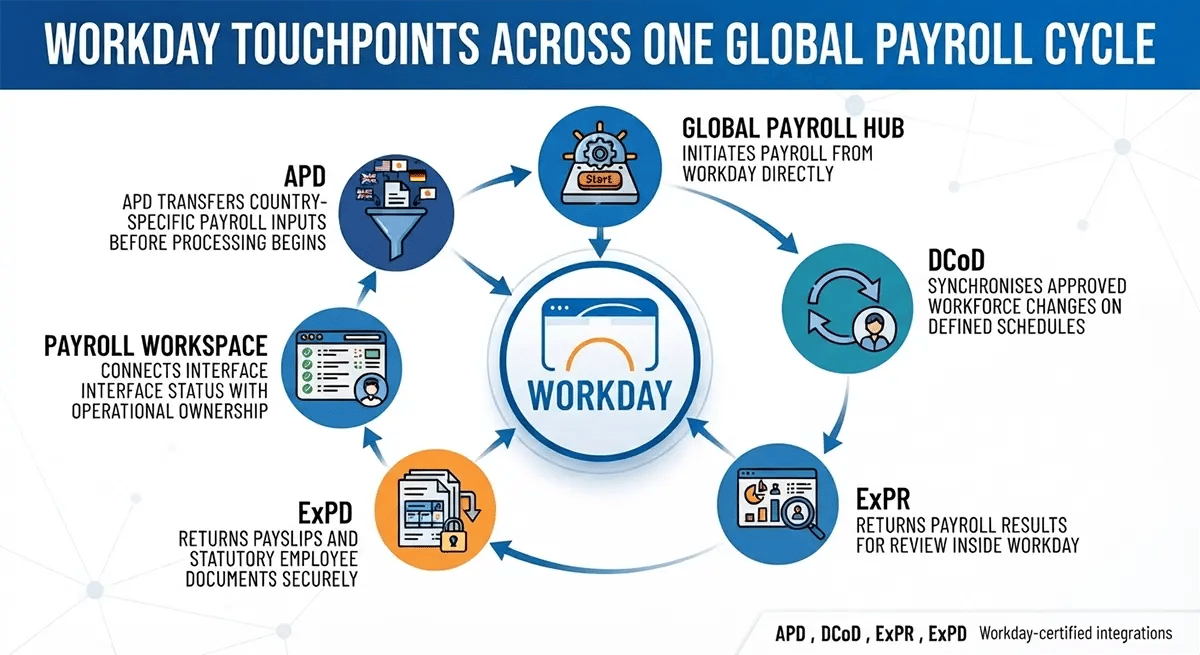 Workday Touchpoints Across One Global Payroll Cycle