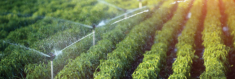 Viadux goes digital on Ramco ERP on Cloud with Mobility and Analytics, replaces 8 disparate legacy systems